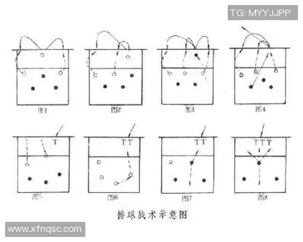 上海排球队中路突破战术解析与未来发展展望